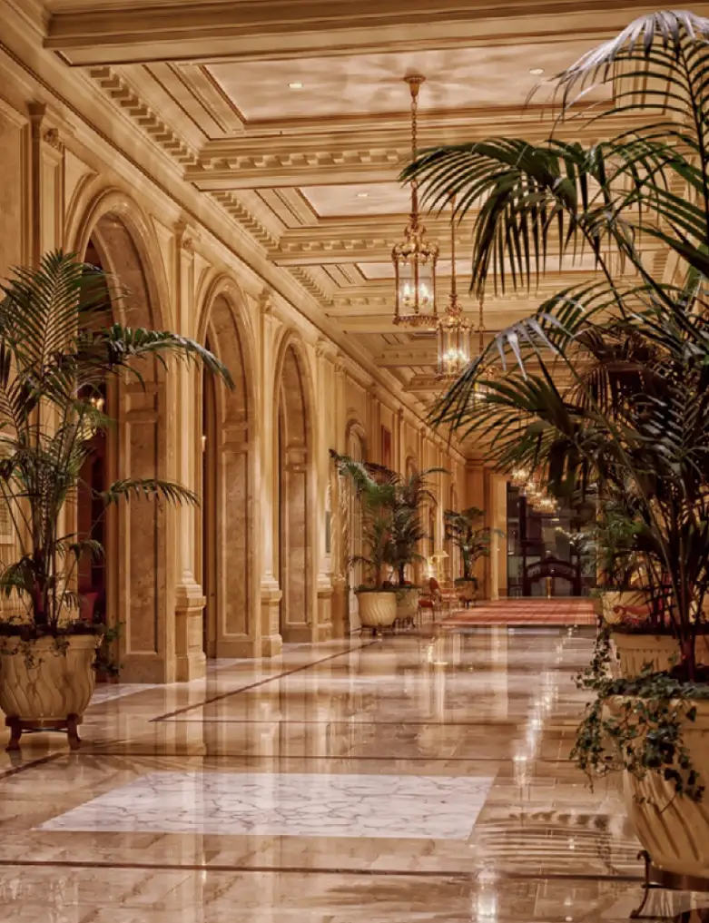 vtc-cannes-palace-hotel vtc cannes palace hôtel de luxe